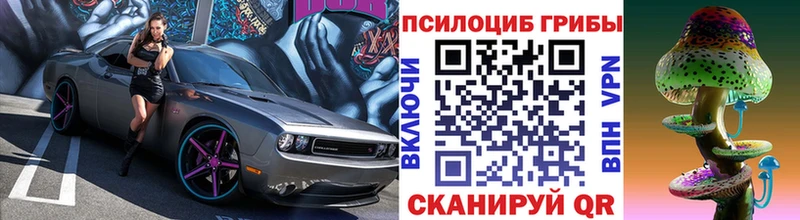 Галлюциногенные грибы GOLDEN TEACHER  купить наркоту  Невель 